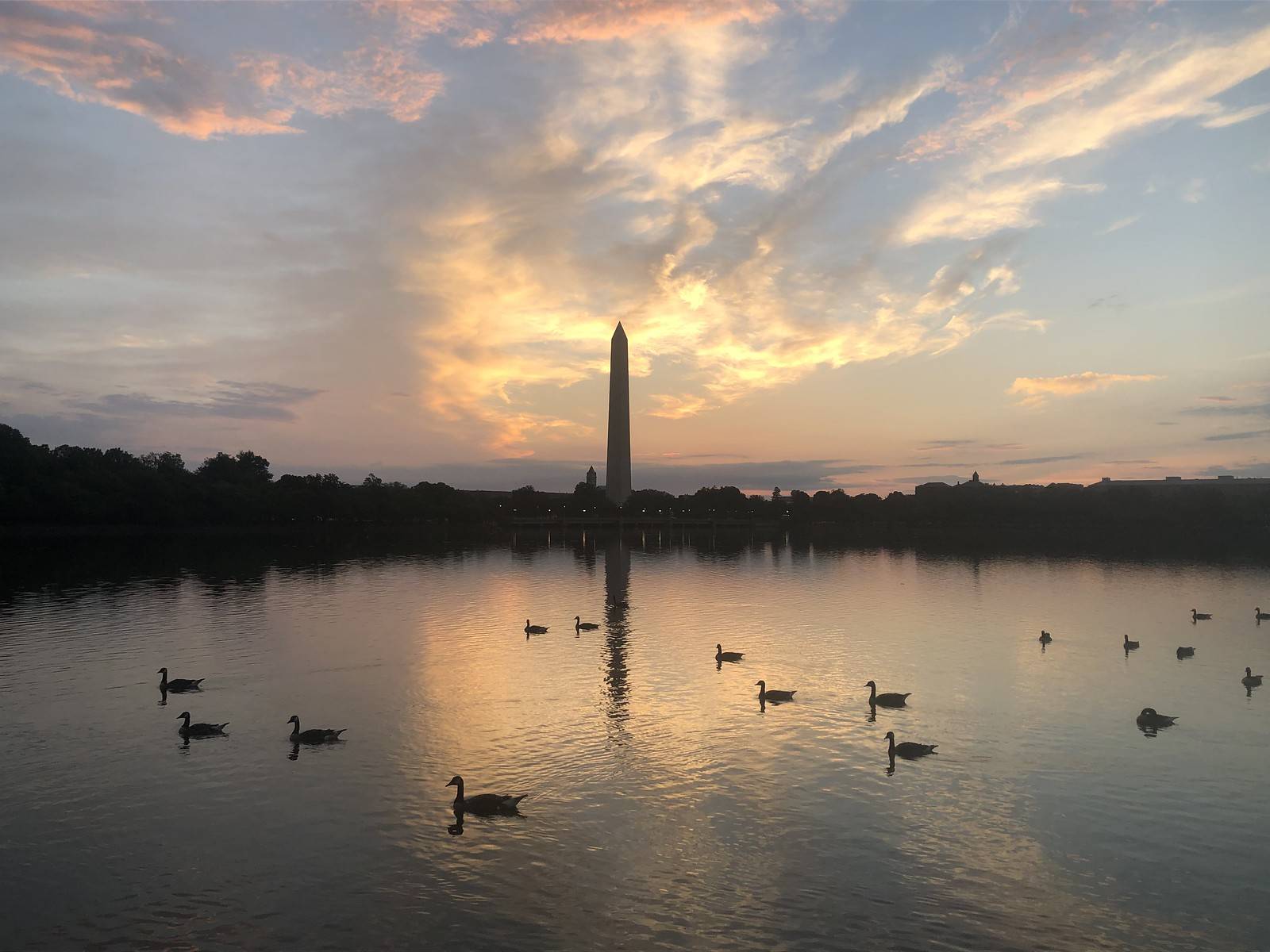 Sunrise at the Tidal Basin. (Jeannie in D.C./Flickr)