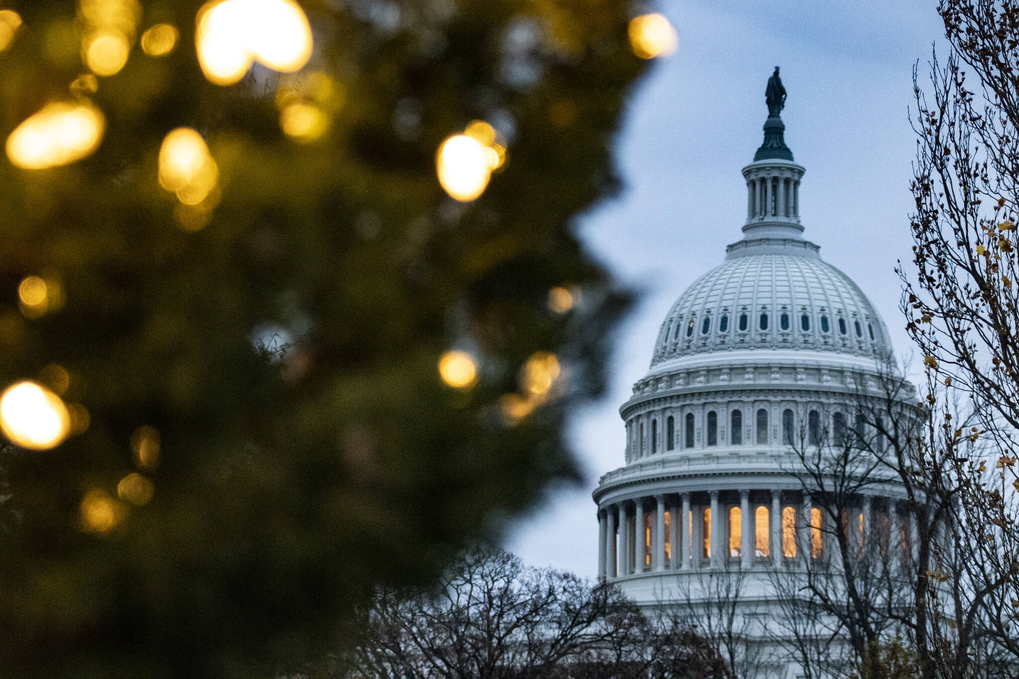 Holiday lights near the Capitol on Dec. 10. (Diane Krauthamer/Flickr)
