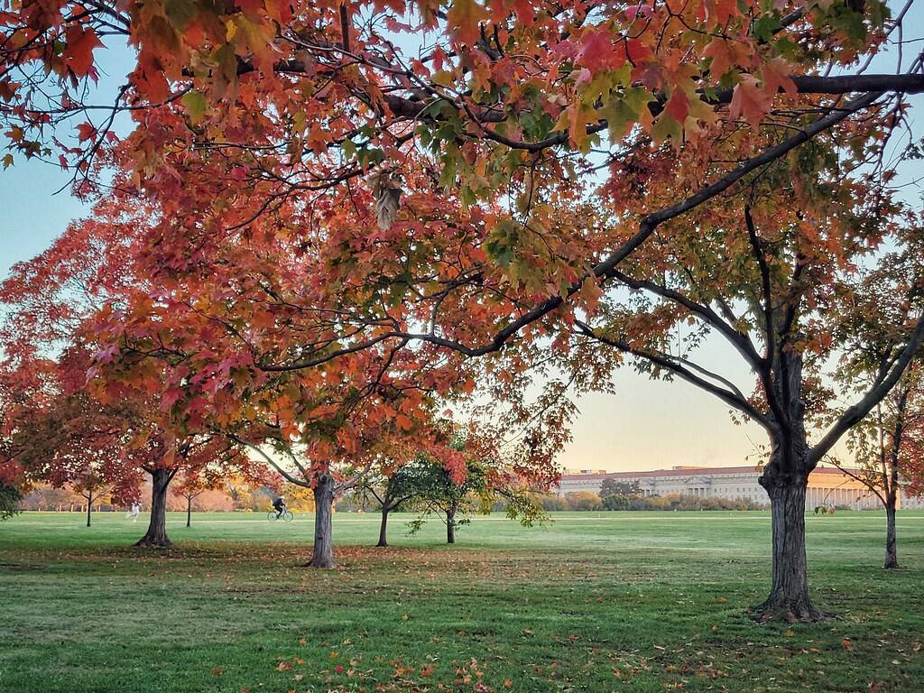 Sunshine on the Mall on Wednesday.