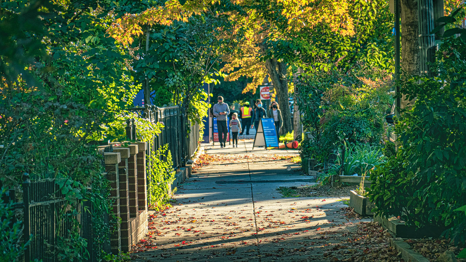 A beautiful fall morning on V Street. (Clif Burns/Flickr)