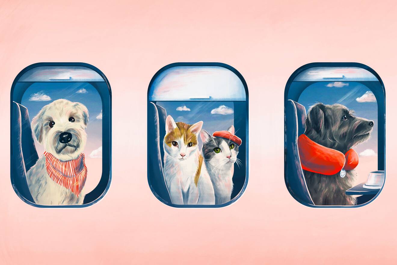 (Katty Huertas/The Washington Post)