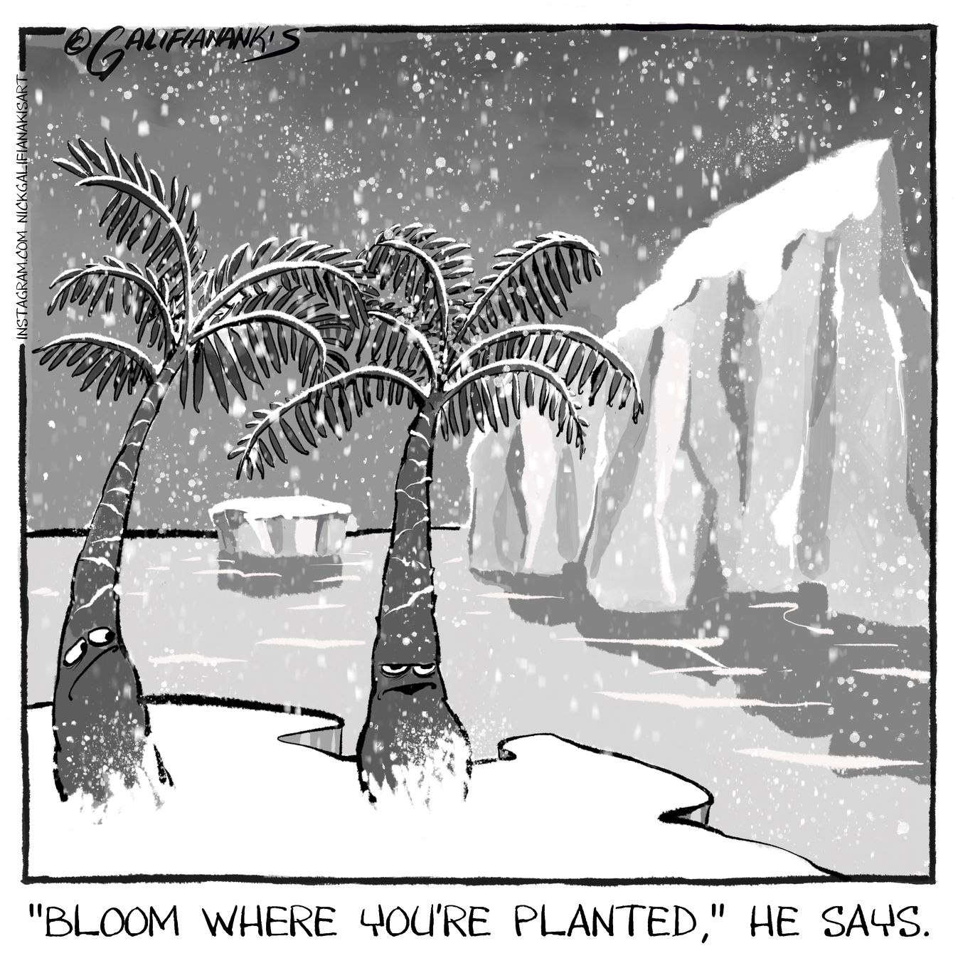 (Nick Galifianakis for The Post)