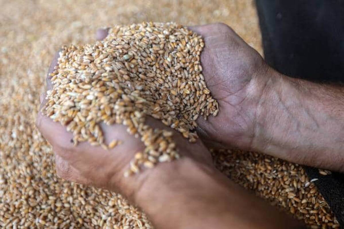 A worker handles wheat grain delivered to the Big Mills of The South flour milling facility in Chouf, Lebanon, on March 29. (Hasan Shaaban/Bloomberg New)