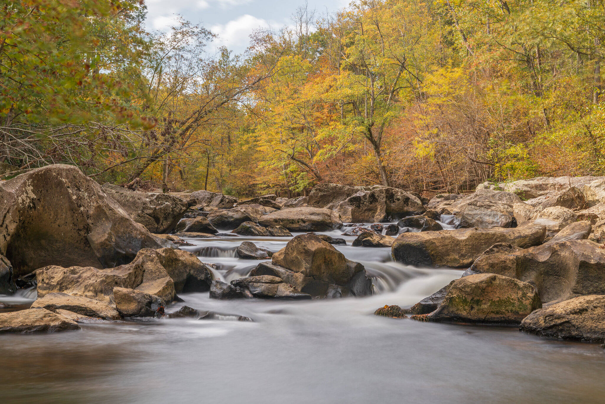 Fall color on display at Difficult Run Saturday. (Edward Wood/Flickr)