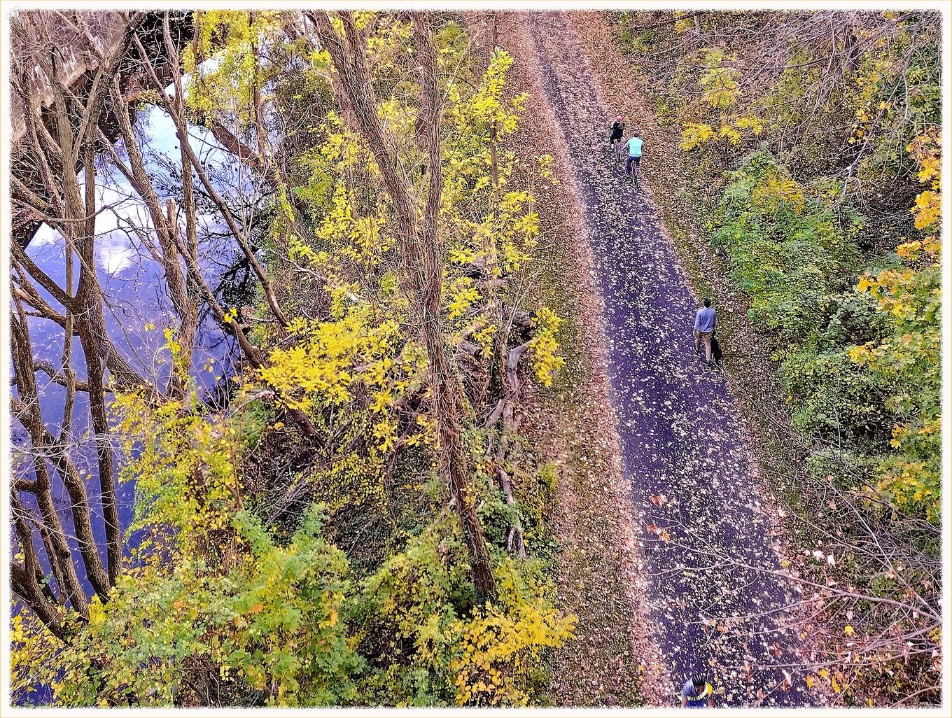Rock Creek Park Trail on Saturday. (ekkidee/Flickr/Rex Block)