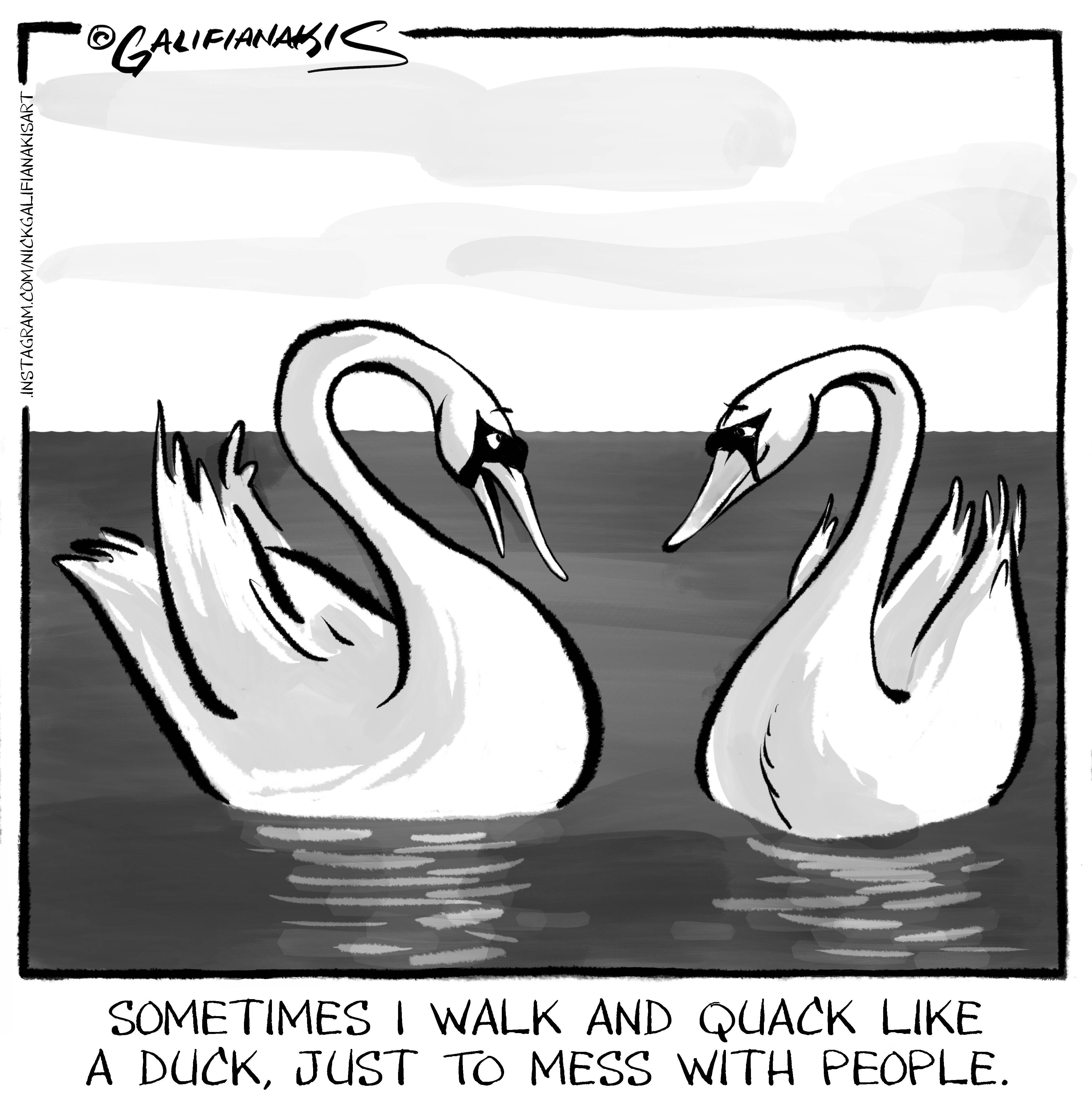 (Nick Galifianakis for The Post)