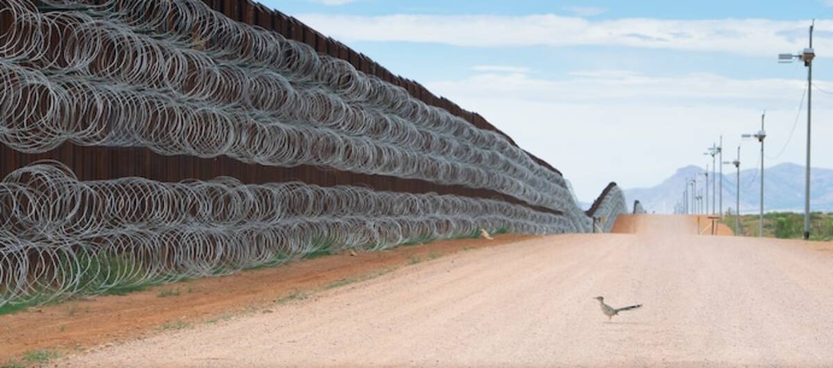 Alejandro Prieto's photo of a roadrunner looking at the wall along the U.S.-Mexico border was honored with the top prize in the 2021 Bird Photographer of the Year awards. (Courtesy of Alejandro Prieto)