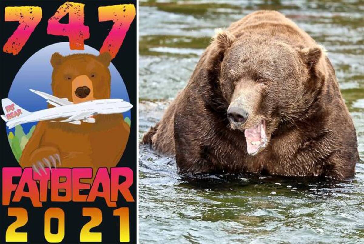 For reference, this is Fat Bear Week 2020 champion, Bear 747. (Left: Michael Paul McAuliffe; right: NPS Photo)