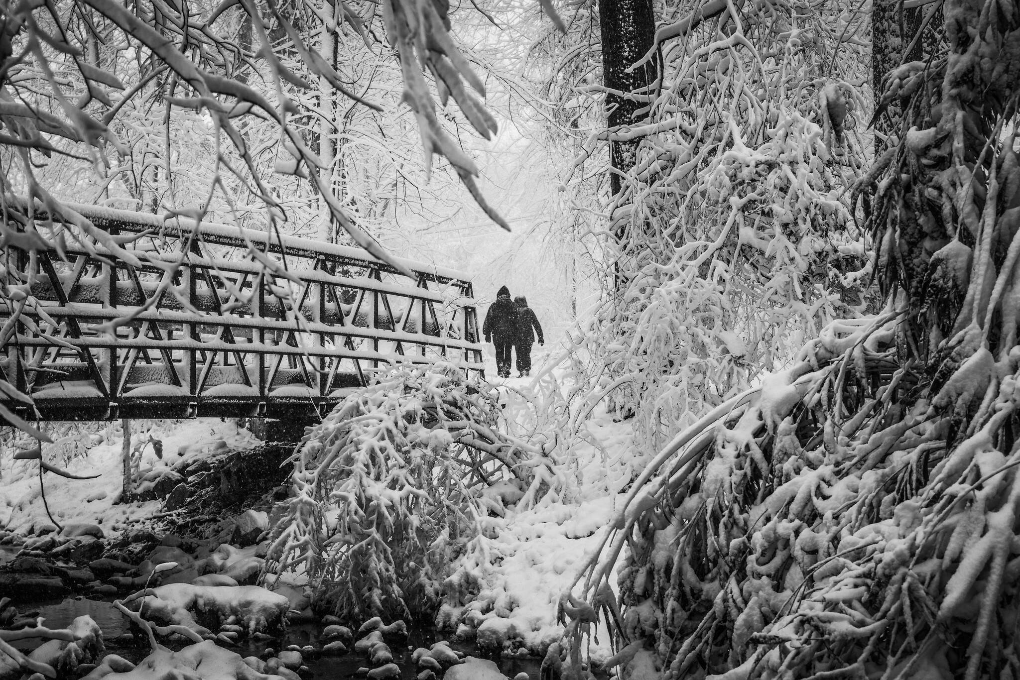 Snowfall Monday. (Kevin Wolf/Flickr)