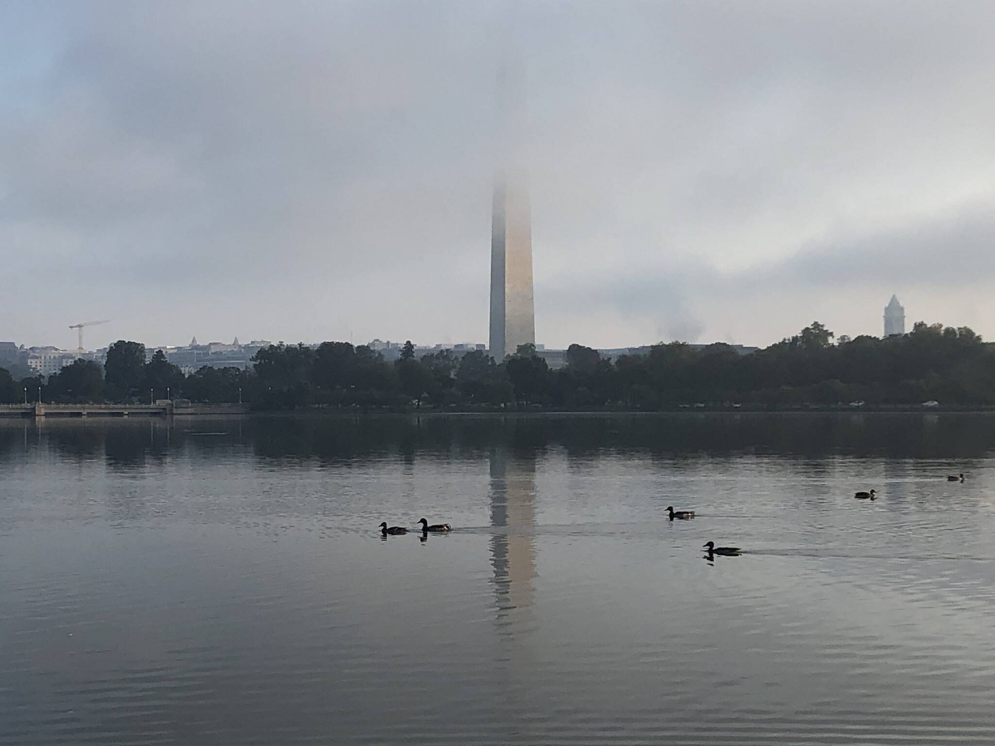 Low clouds over the Tidal Basin, Oct. 3 (Jeannie In D.C. via CWG.news/Photos Flickr)