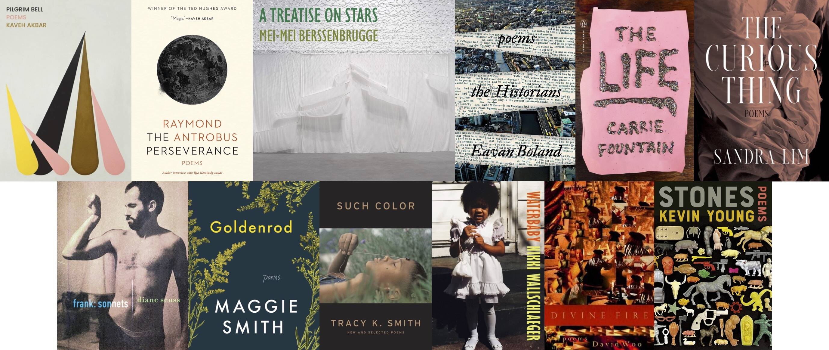 Top: Graywolf; Tin House; New Directions; Norton; Penguin; Norton. Bottom: Graywolf; One Signal/Atria; Graywolf; Copper Canyon; University of Georgia Press; Knopf.&nbsp;&nbsp;