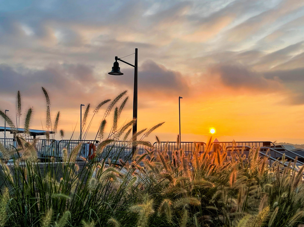 Sunrise in Alexandria on Monday. (Lee M./Flickr)