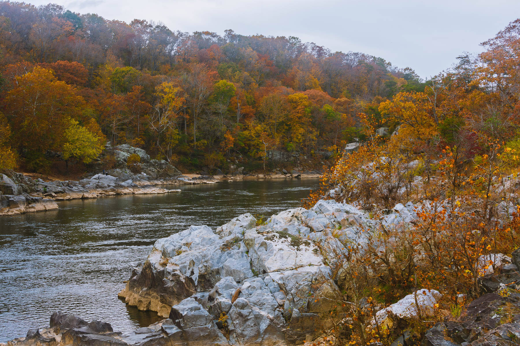 Nice fall color along the Billy Goat Trail on Monday.