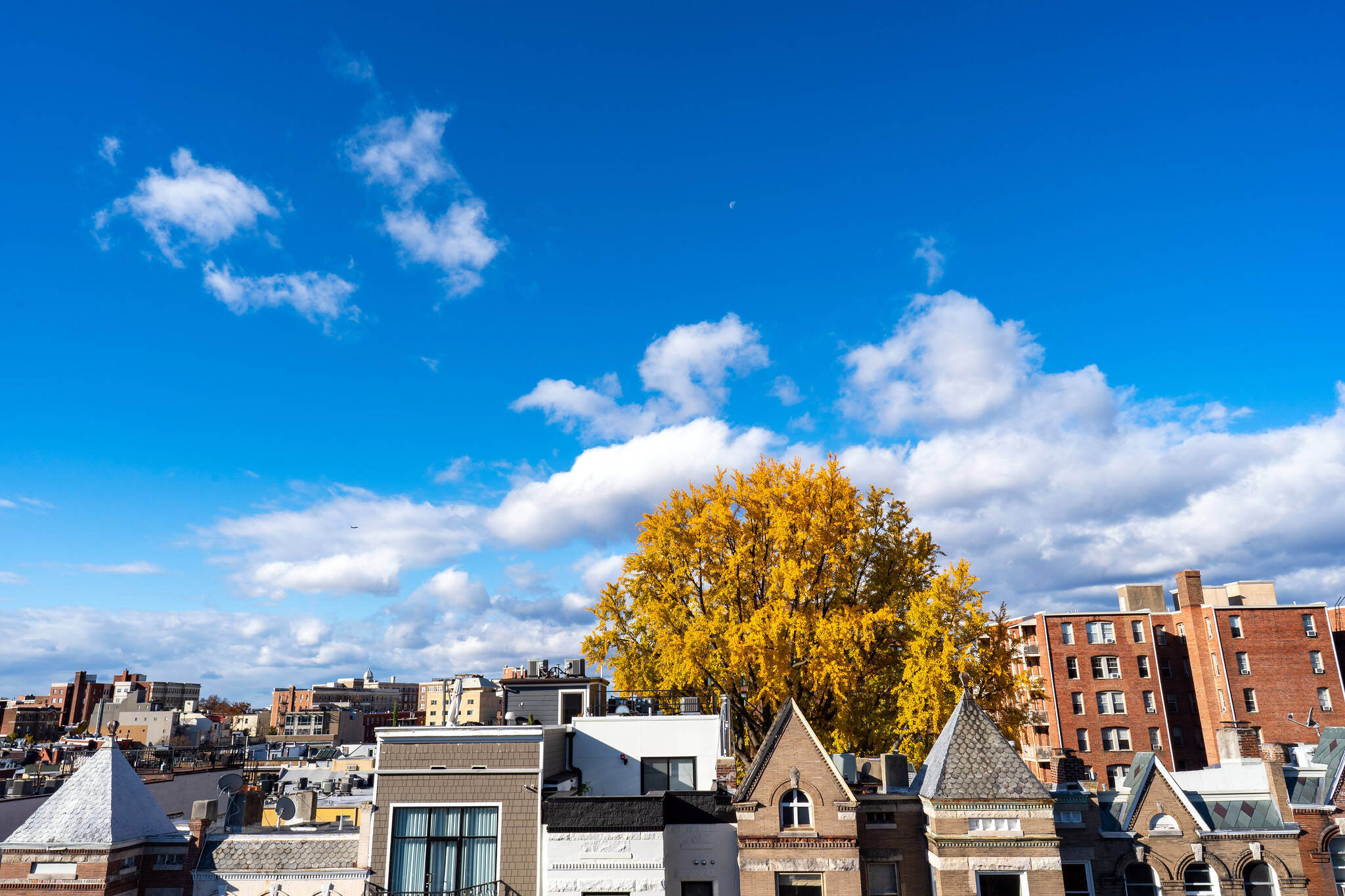 Looking west out of the Adams Morgan neighborhood in D.C. on Friday.