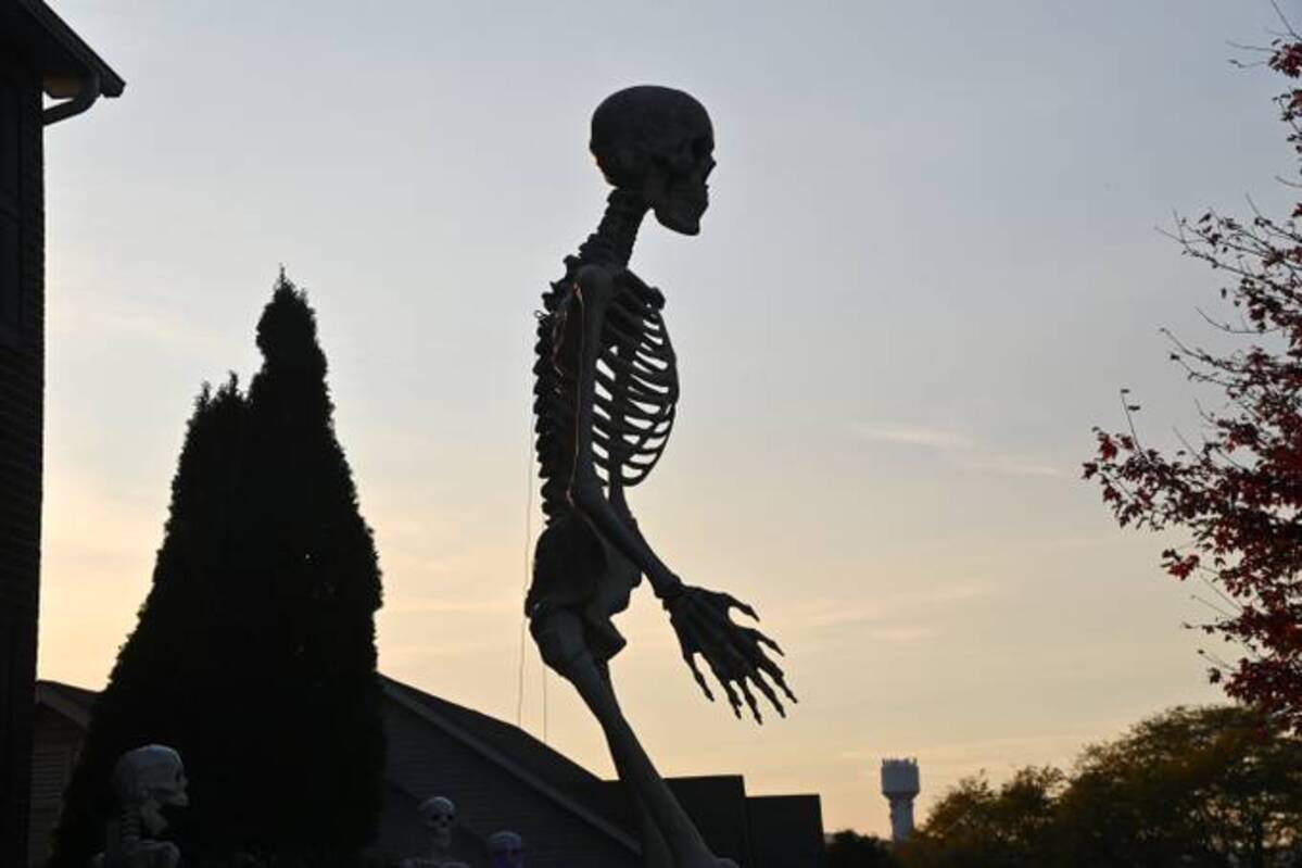 Herman, the 12-foot skeleton, stands quite tall among his fellow skeletons in Middletown, Md., in October 2020. (Marvin Joseph/The Washington Post)