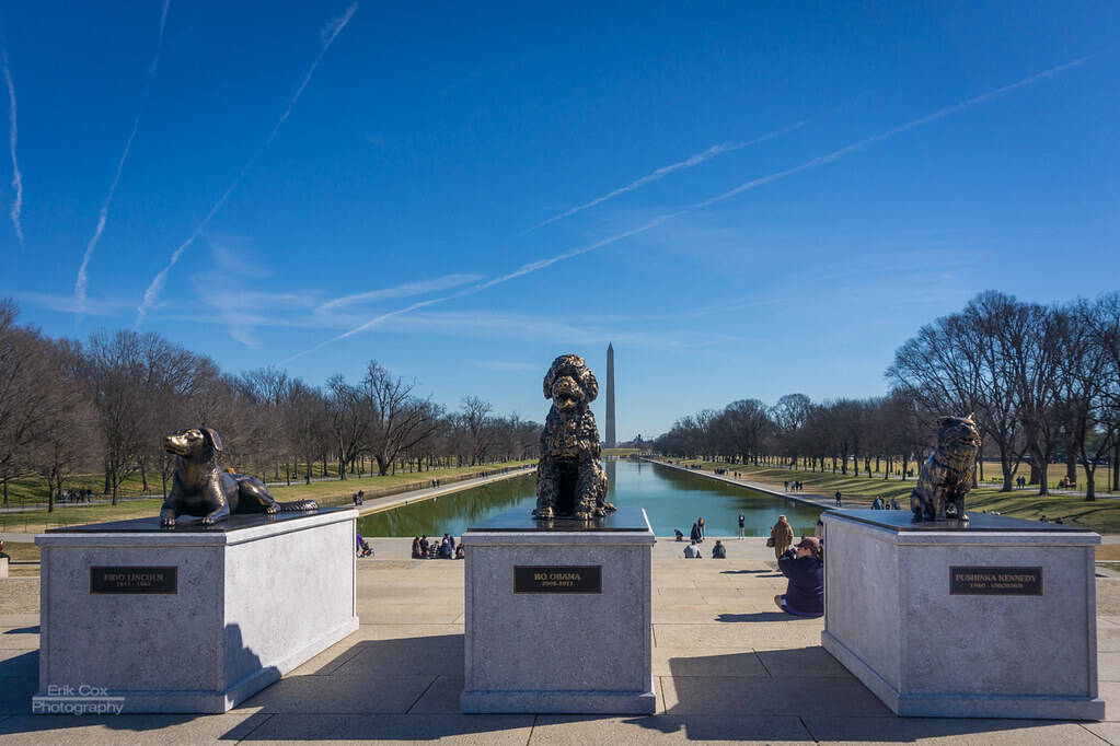 Presidential pups on a beautiful Presidents' Day. (Erik Cox Photography/Flickr)