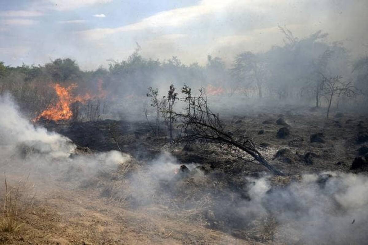 Wildfires burn near Iberá National Park in Argentina on Feb. 22. (Juan Mabromata/AFP/Getty Images)