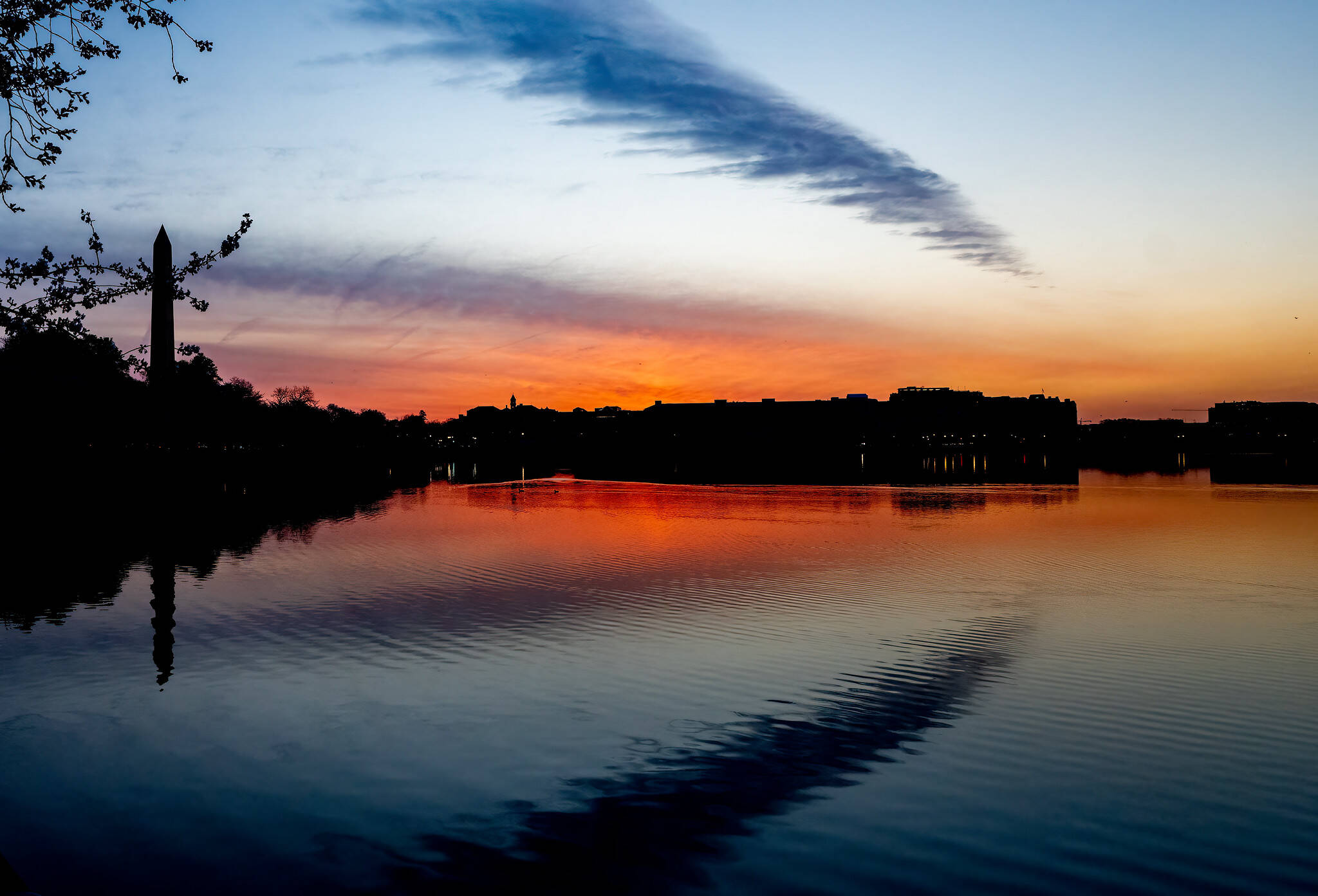 Yesterday's sunrise at the Tidal Basin. (Victoria Pickering/Flickr/Victoria Pickering)