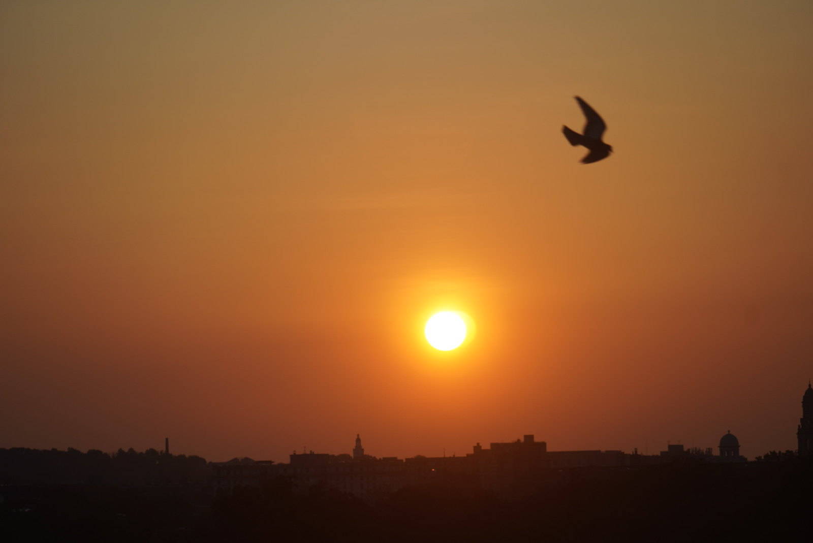 A hot day begins Wednesday as the sun rises over Rock Creek Park in the District. (Jeannie in D.C./Flickr)