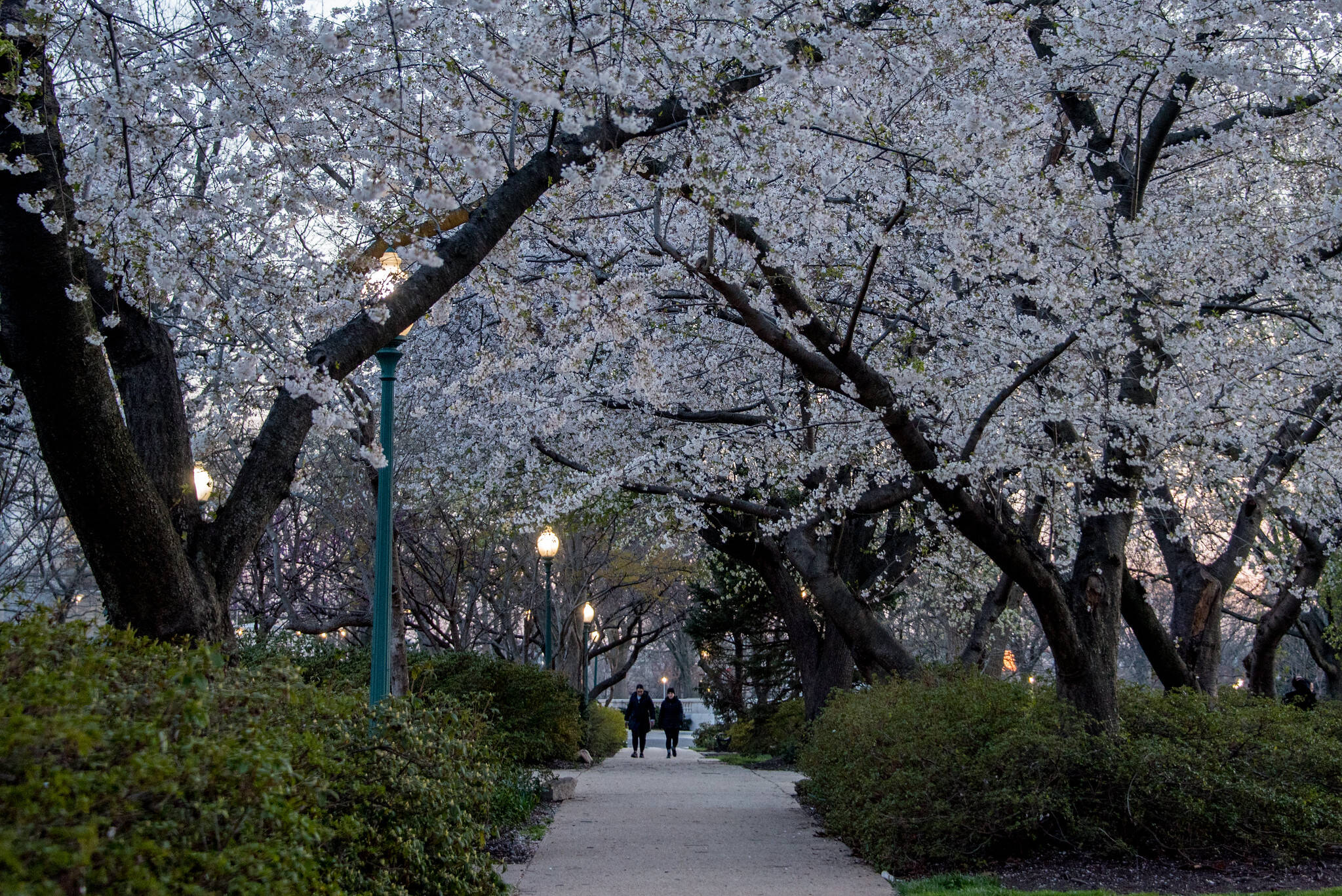 The scene Wednesday at Senate Park in Washington. (angela n./Flickr)