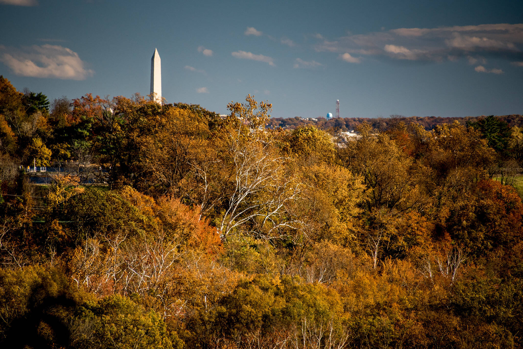 The view from George Washington Parkway Scenic Overlook on Saturday. (angela n./Flickr)