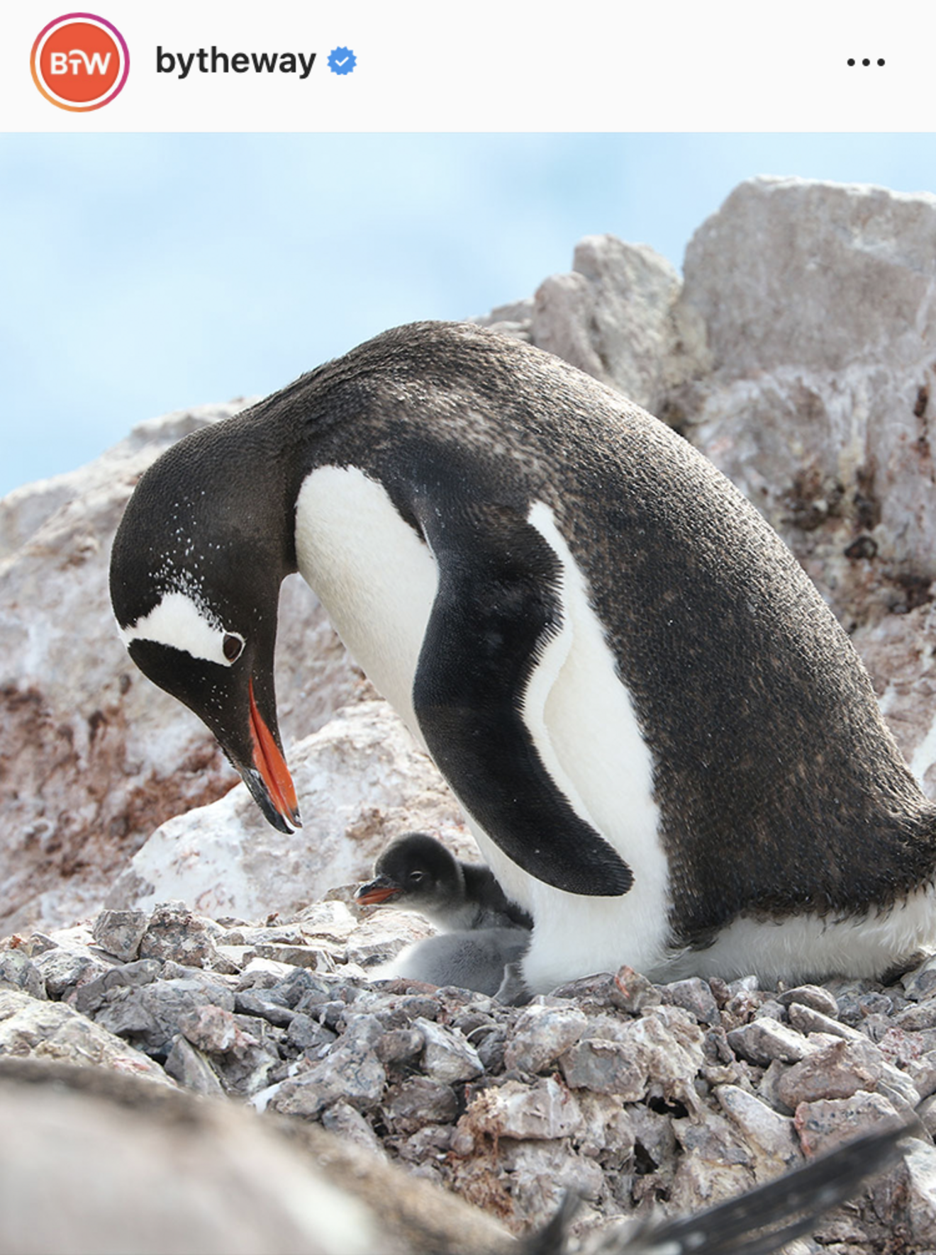 (Bailey Berg for The Washington Post)