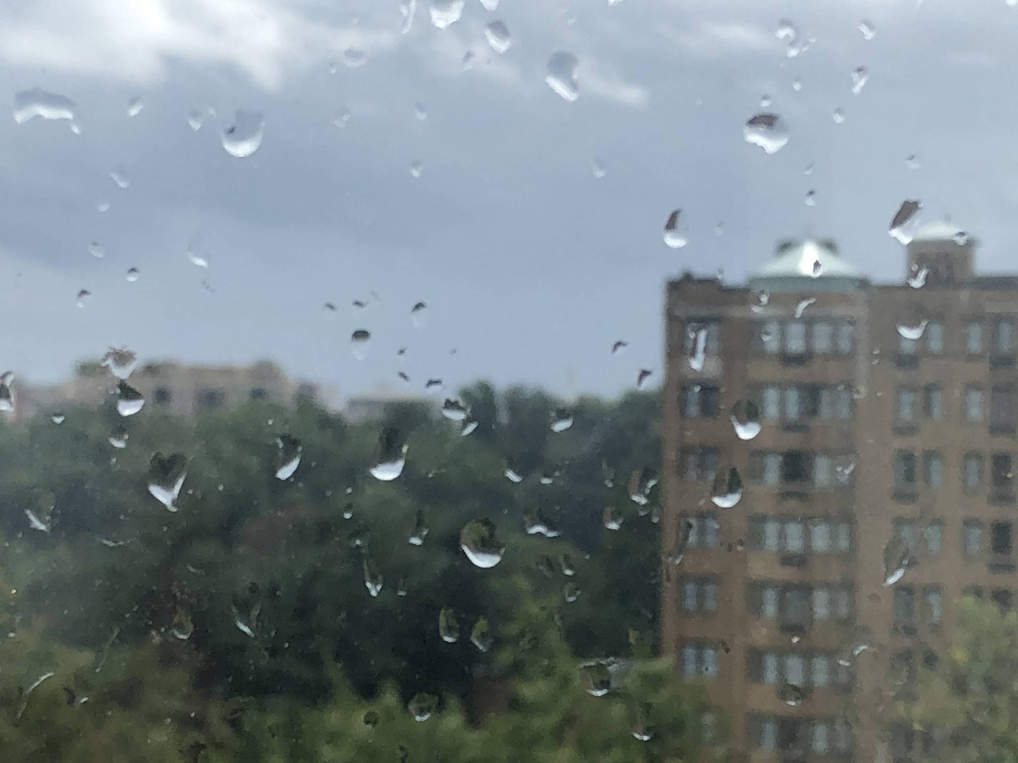 Raindrops on the windowpane, looking out at D.C.'s Rock Creek Park on Aug. 18.