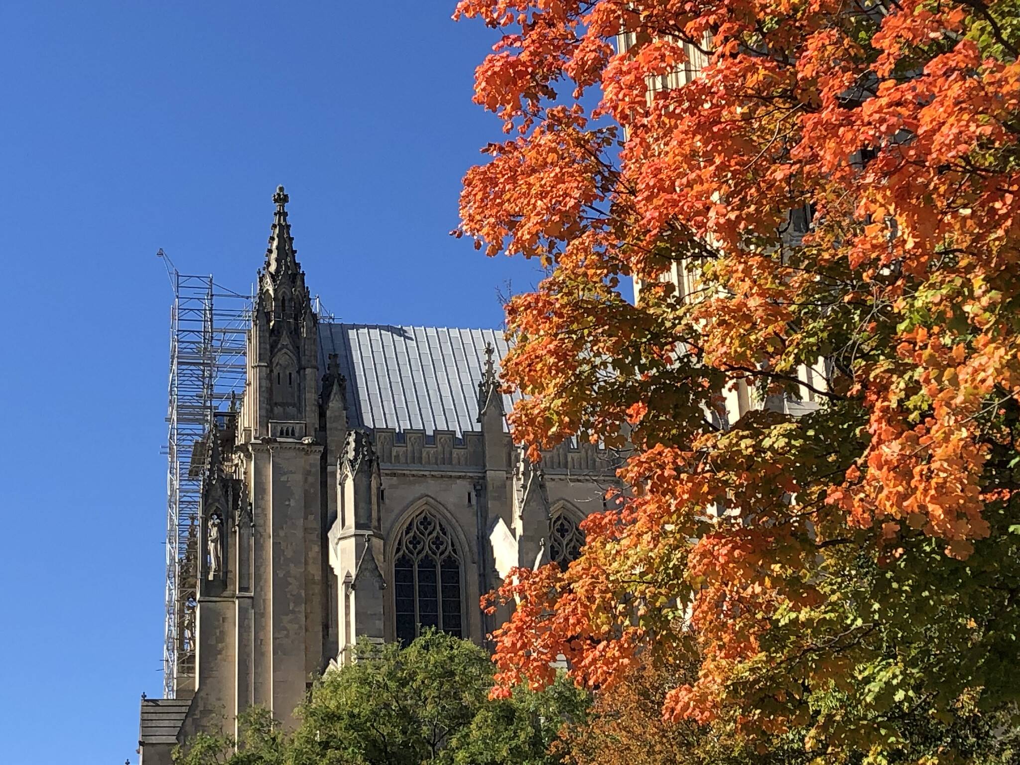 Blue sky and bright sunlight over fall foliage at the Washington National Cathedral on Nov. 1.
