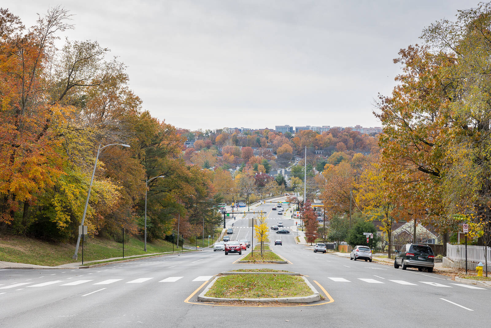 South Walter Reed Drive in Arlington on Saturday.
