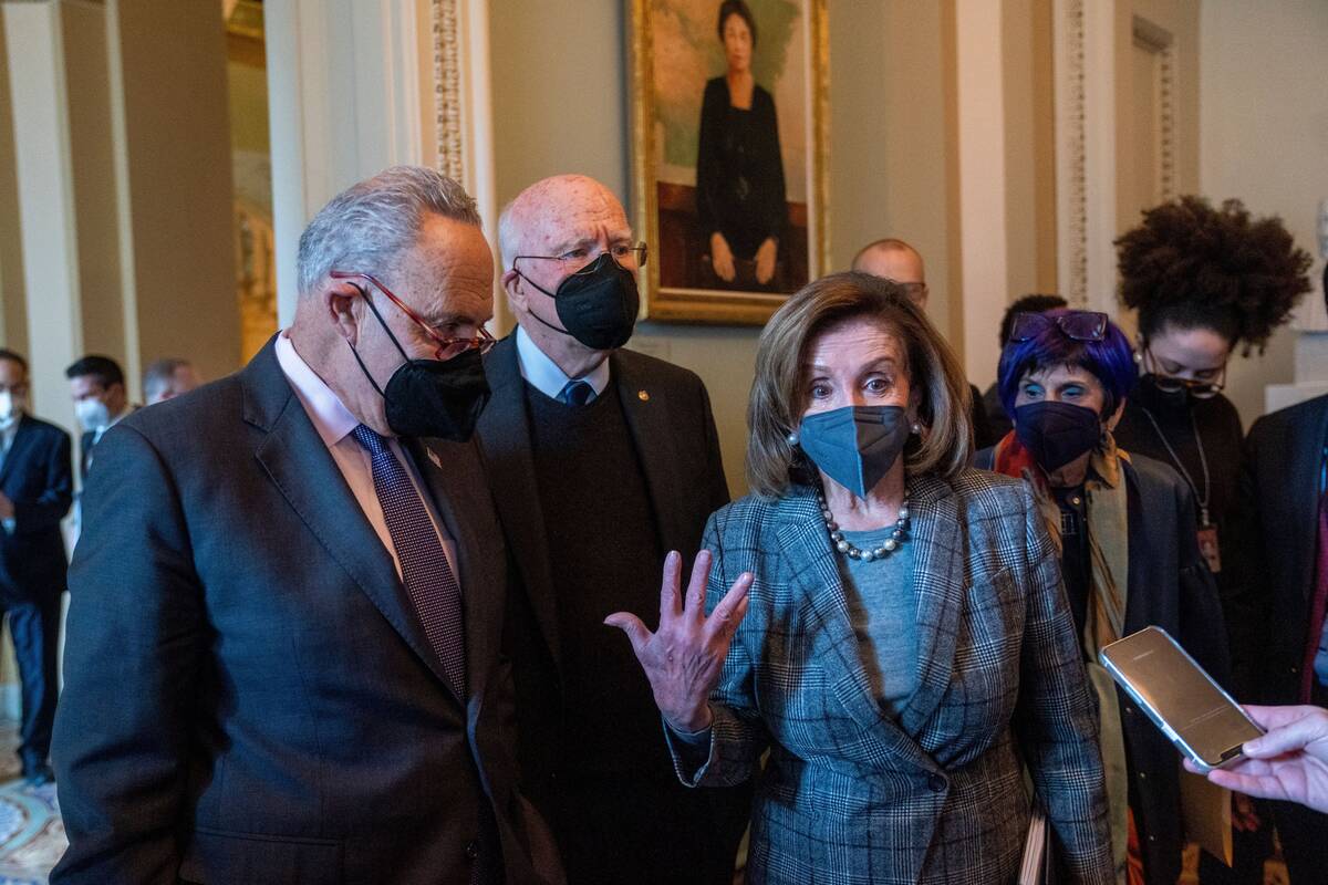 House Speaker Nancy Pelosi (D-Calif.) and Senate Majority Leader Charles E. Schumer (D-N.Y.) respond to questions following a meeting in the Capitol on Feb. 1. (Shawn Thew/EPA-EFE/Shutterstock)