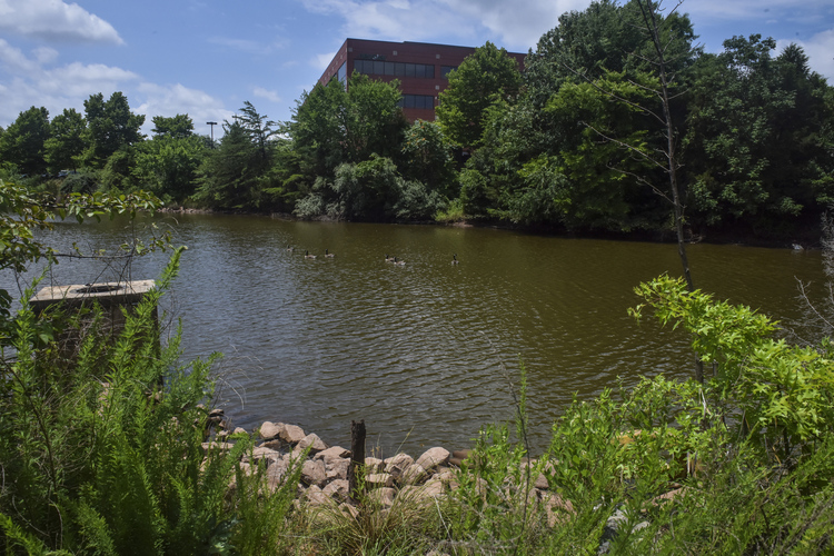 The Virginia pond where the body of a&nbsp;teenage Muslim girl was found.&nbsp;(Jahi Chikwendiu/&nbsp;Washington Post)</p>  