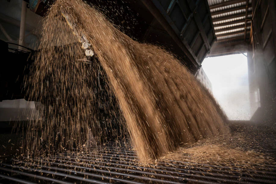 An employee unloads wheat grains inside a storage in the village of Tomylivka in the Kyiv region of Ukraine on Aug. 1. (Viacheslav Ratynskyi/Reuters) (Stringer/Reuters)