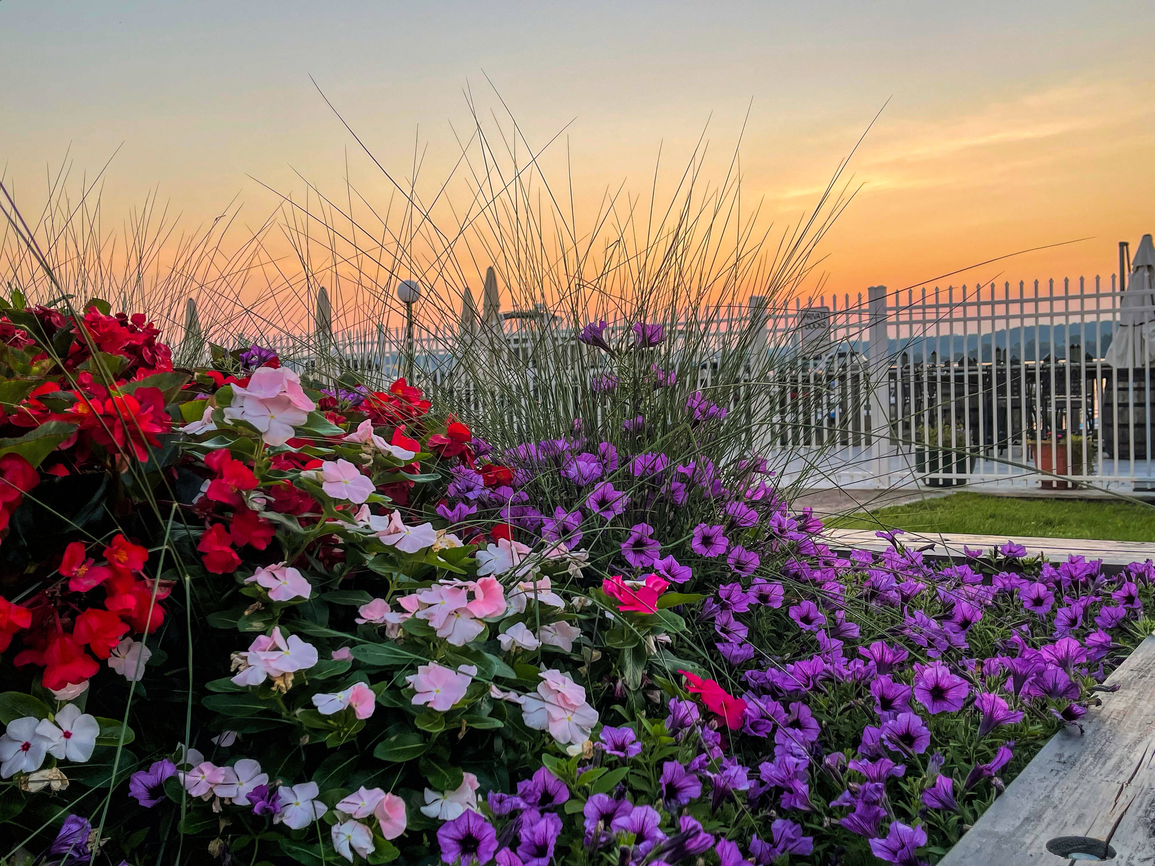 Sunrise on Tuesday in Alexandria. (Lee M./Flickr)