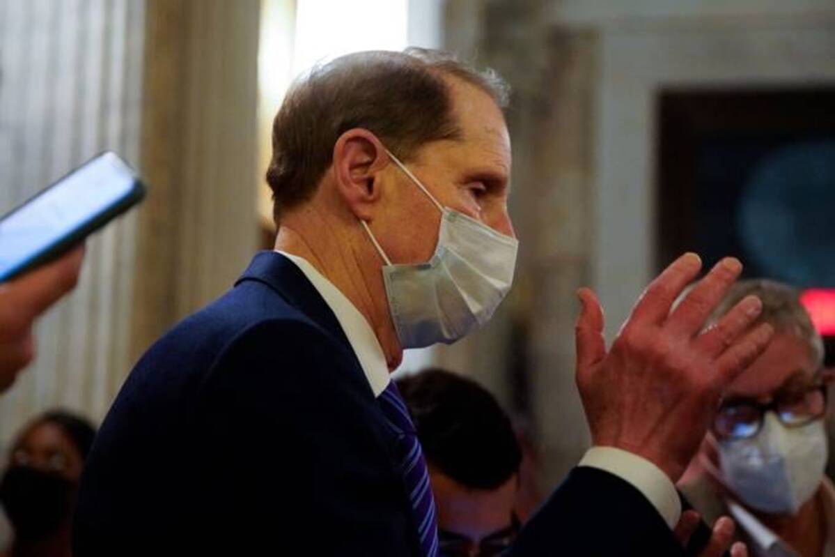 Senate Finance Committee Chair Ron Wyden (D-Ore.) only got some of what he wanted in terms of tax policy in President Biden's Build Back Better proposal. (REUTERS/Elizabeth Frantz)