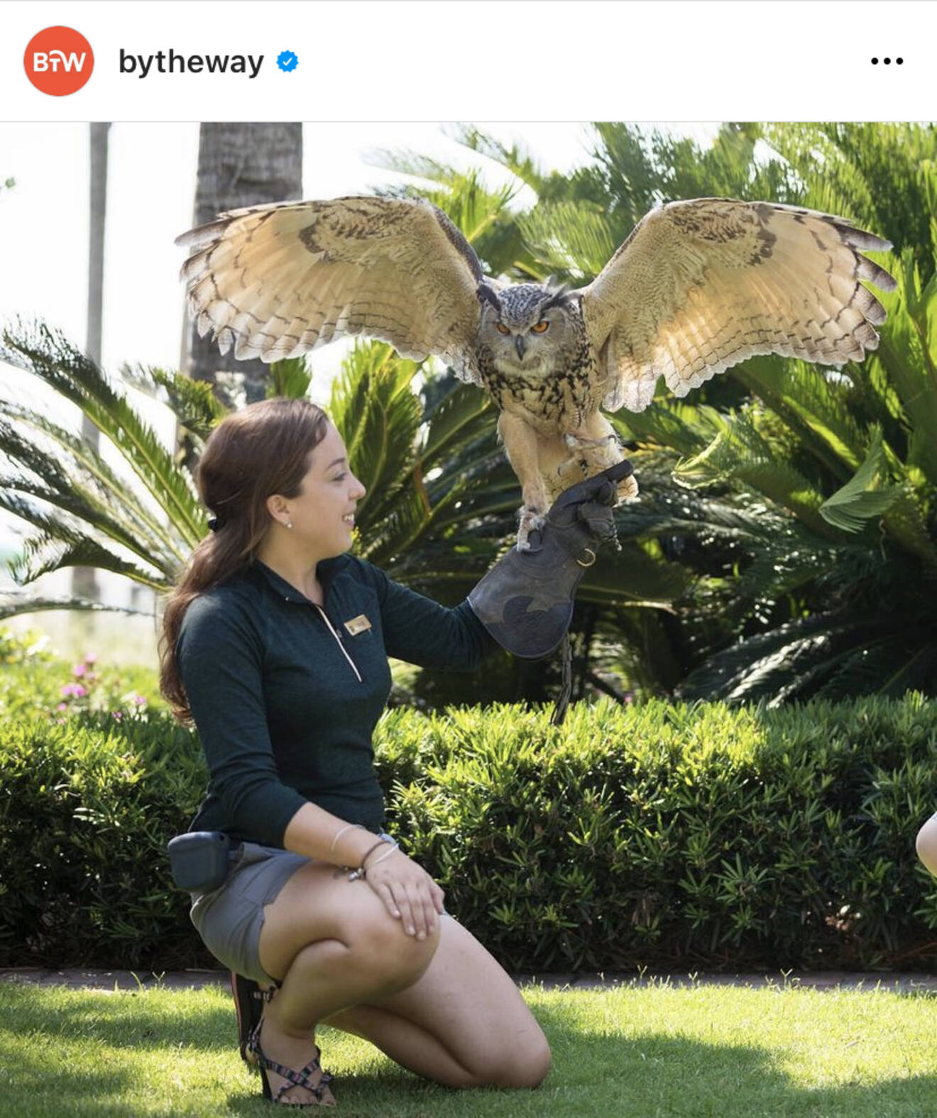 (Eliot VanOtteren/Sea Island)