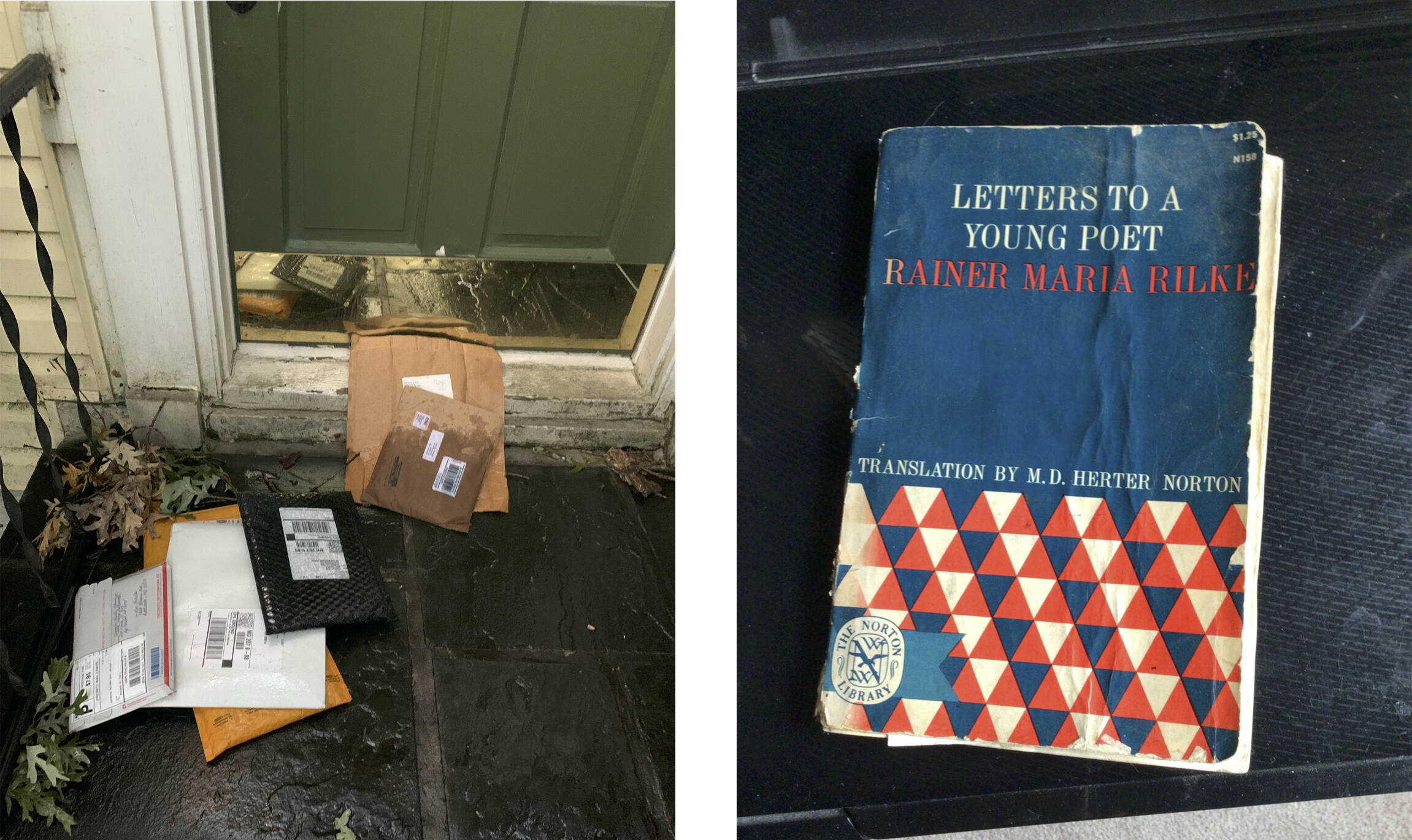 Soggy book mail left outside my door in early August. (Photo by Ann O'Donoghue) A recovered and dried copy of 