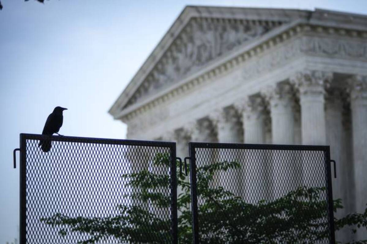 A bird sits atop security fencing outside of the U.S. Supreme Court on Monday. (Drew Angerer/Getty Images)