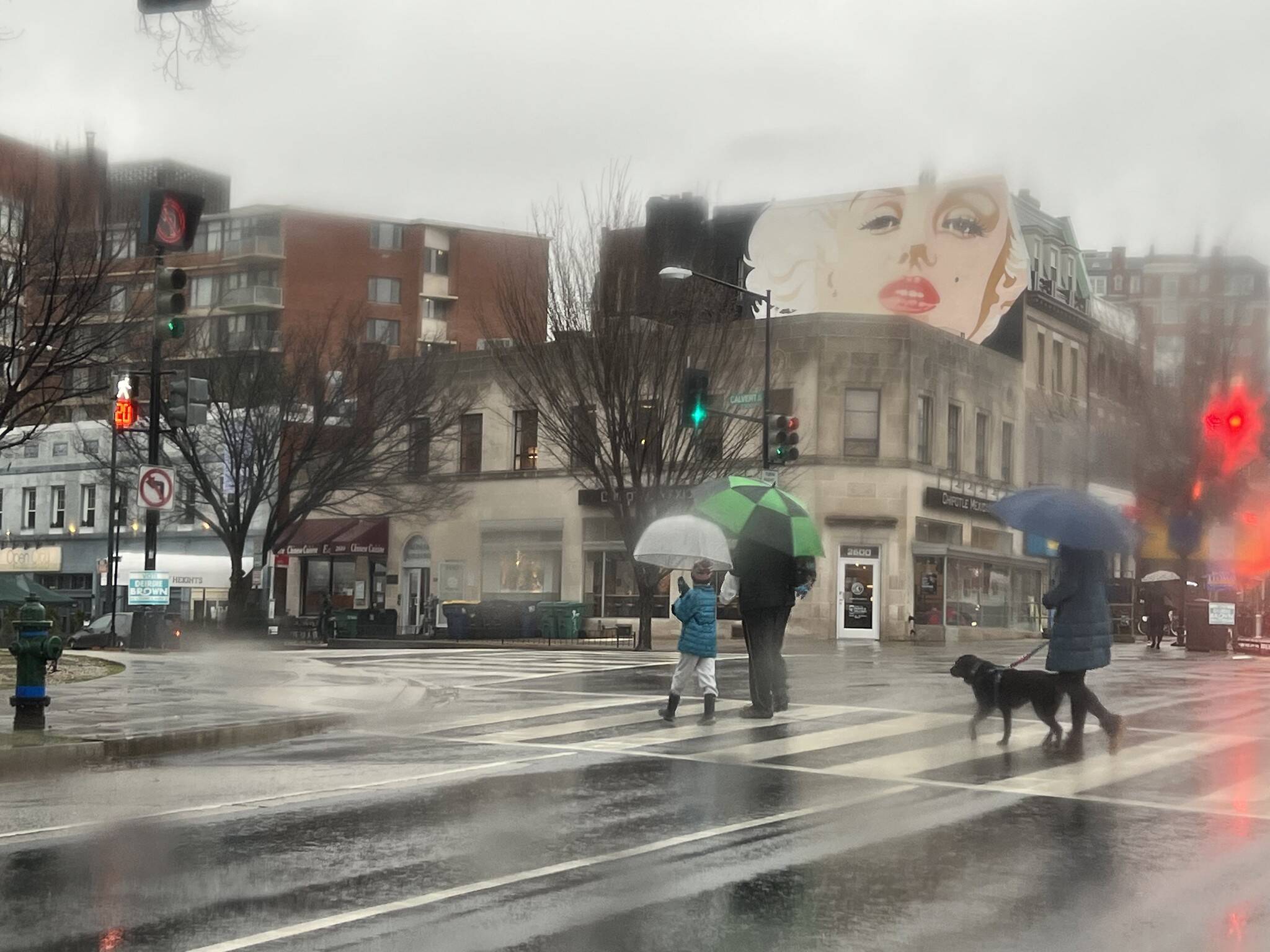 Rain falls in the District at Calvert Street and Connecticut Avenue on March 9. (Jeannie in D.C.)