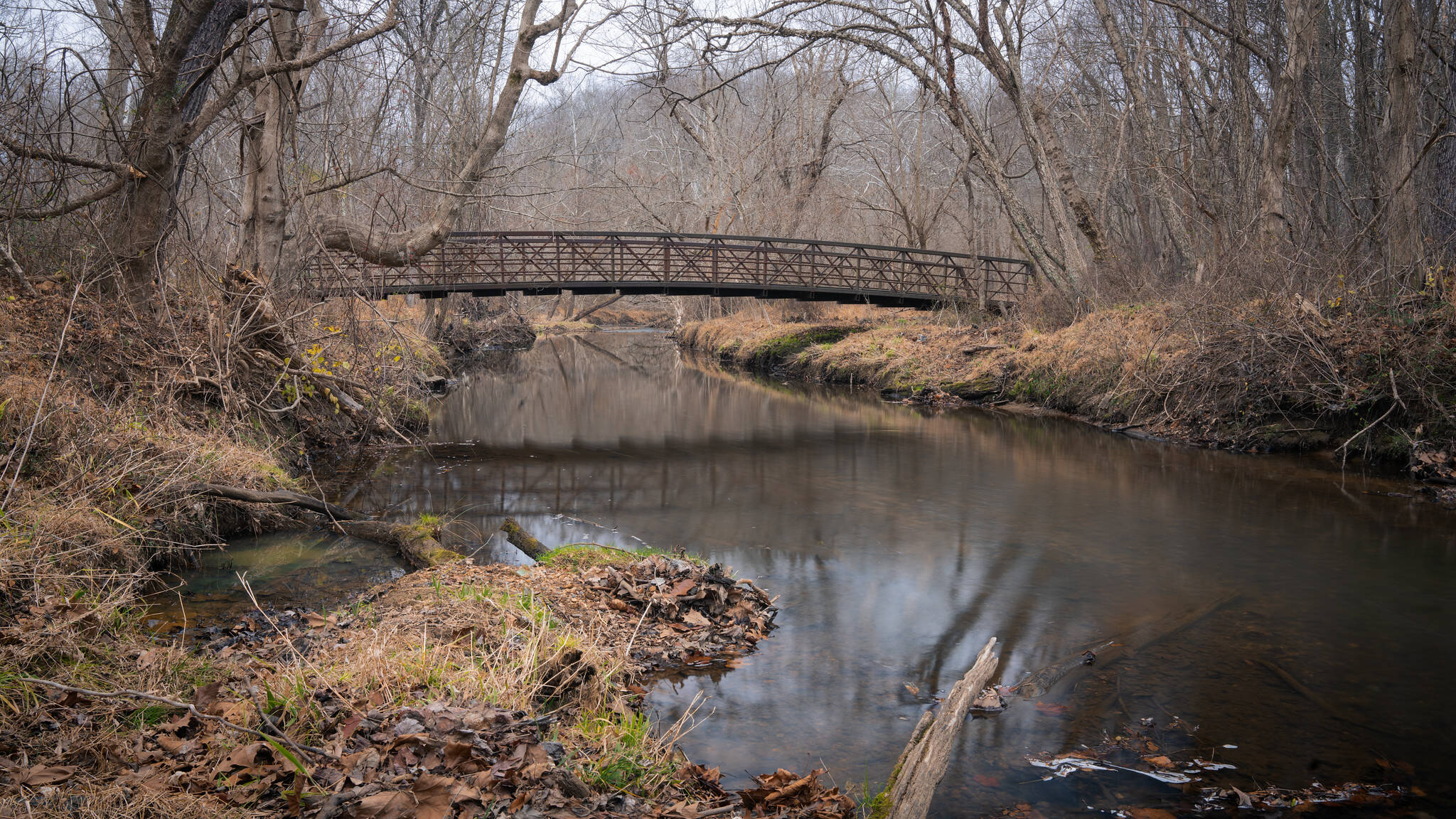 A scene in Rock Creek Park Wednesday.