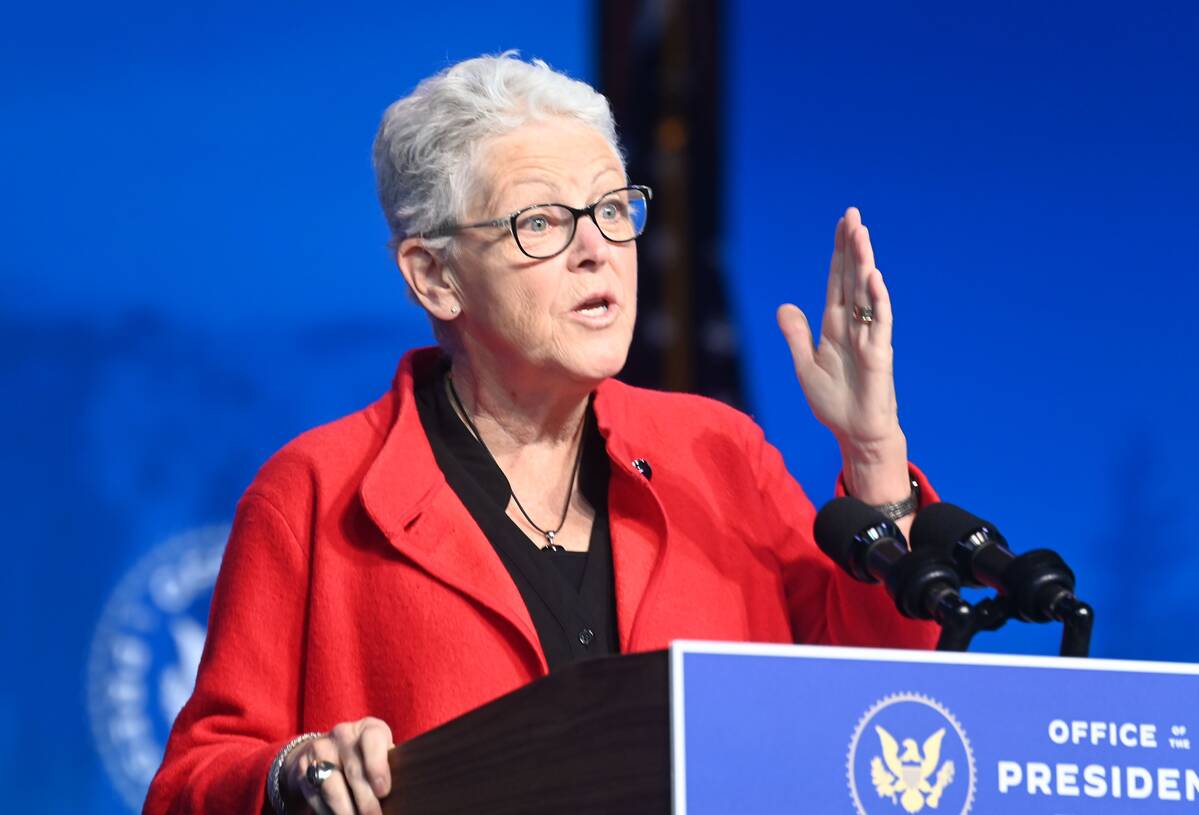White House national climate adviser Gina McCarthy. (Jonathan Newton/The Washington Post)