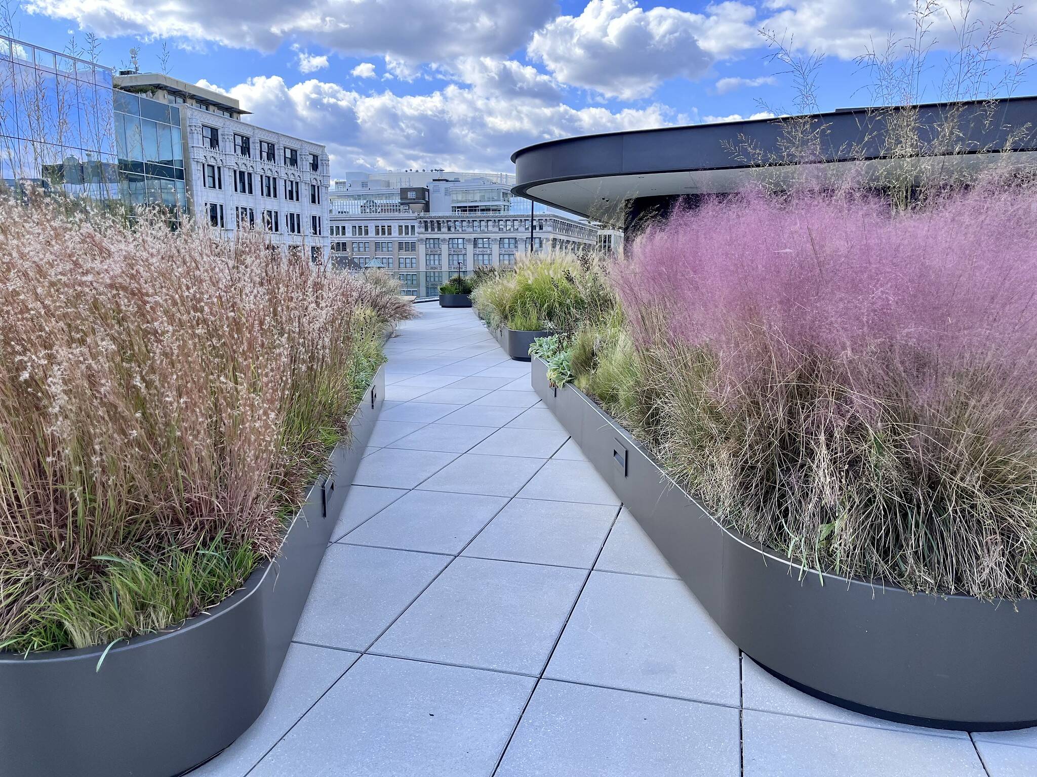 An active Sunday sky as seen from the roof of the Martin Luther King Jr. Memorial Library in Northwest D.C.