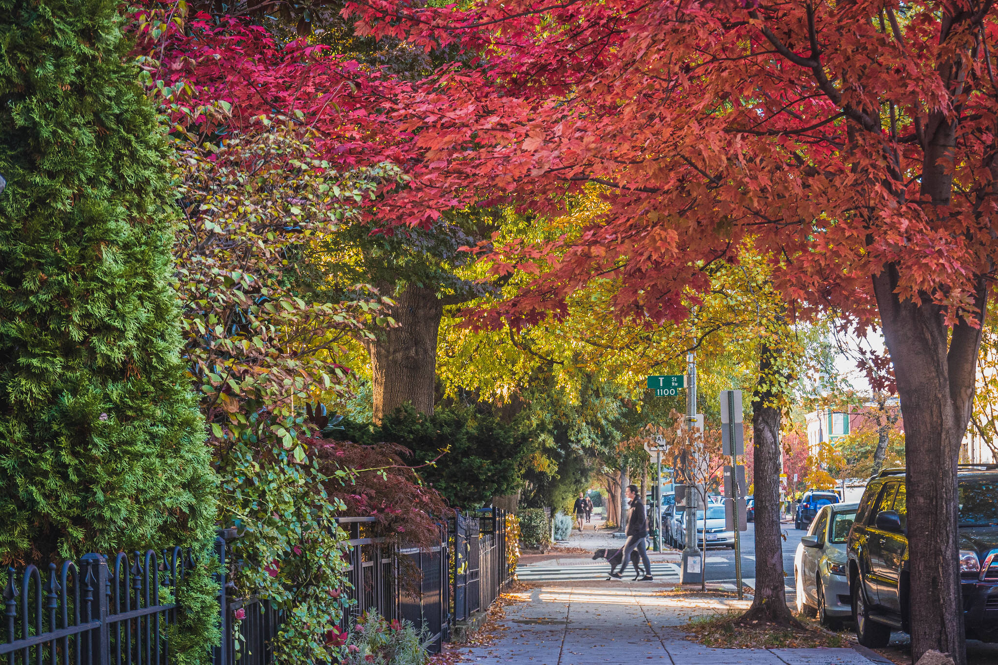 Fall colors on display Tuesday morning in the District.