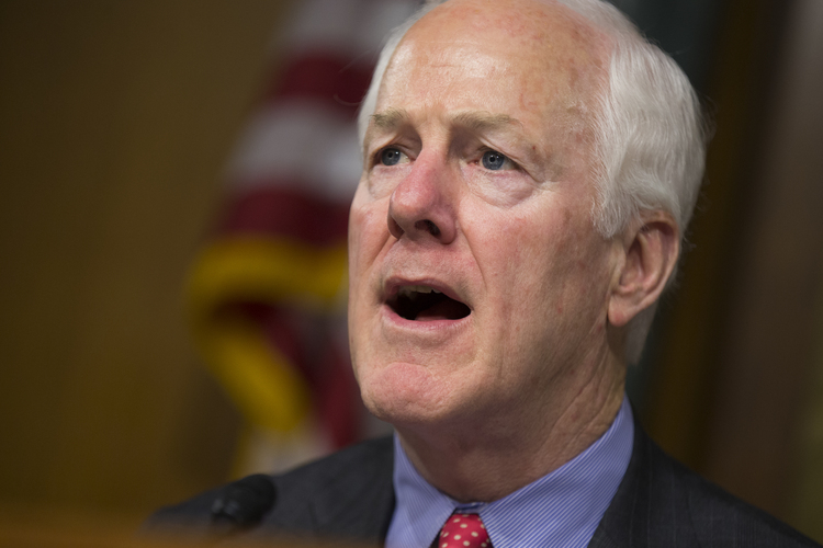 John Cornyn&nbsp;(AP Photo/Evan Vucci, File)</p>  