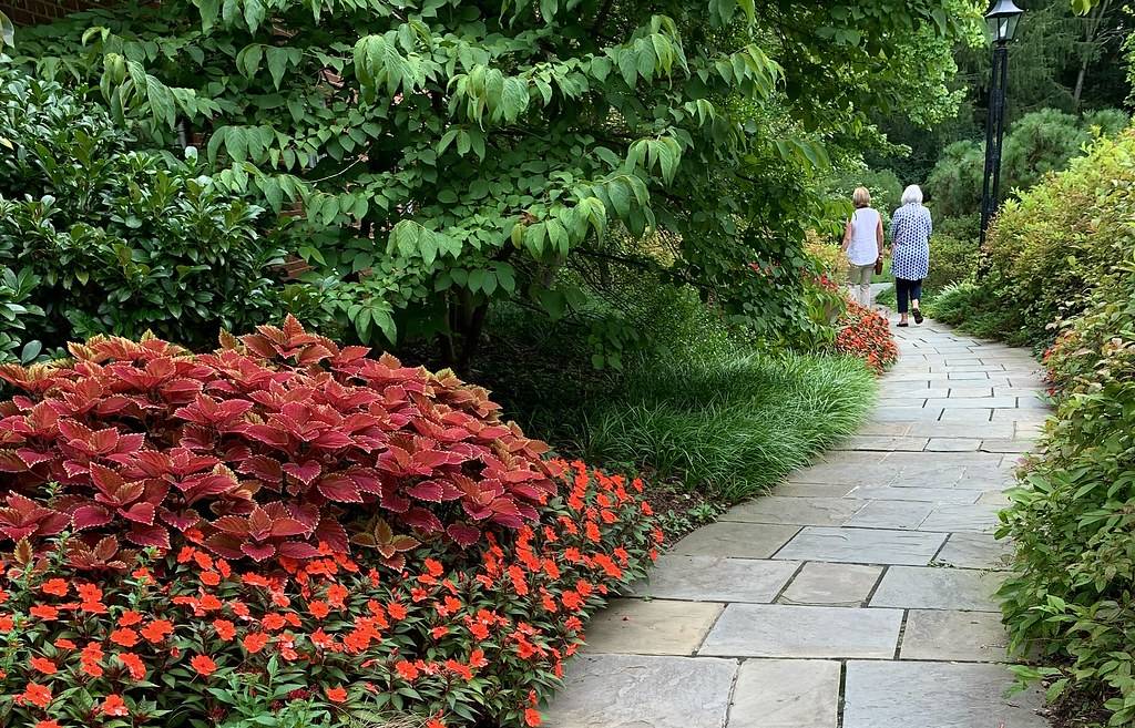 A flowery scene on Monday at Hillwood Estate, Museum & Gardens in Northwest D.C.