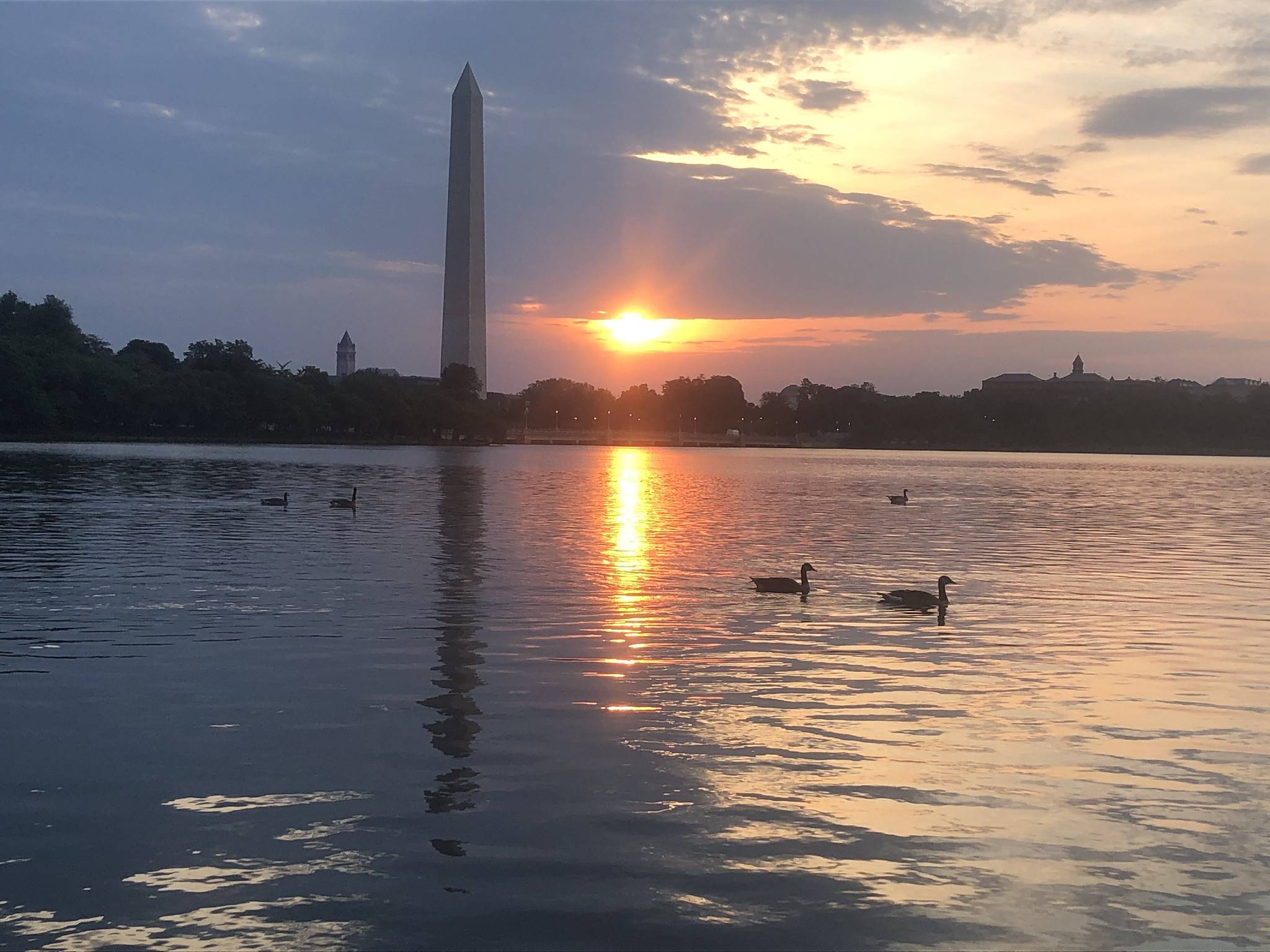 Saturday's sunrise at the Tidal Basin in D.C. (Jeannie in D.C./Flickr)