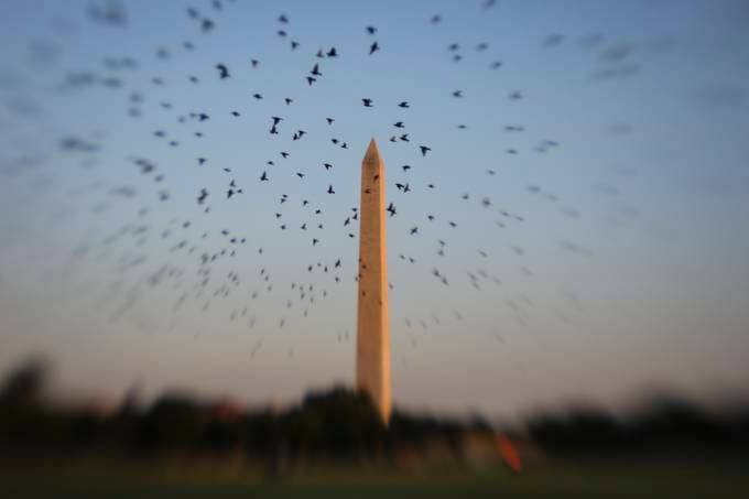 Birds fly by the Washington Monument this past weekend as Biden returned from Camp David. (Photo by Oliver Contreras/For The Washington Post)