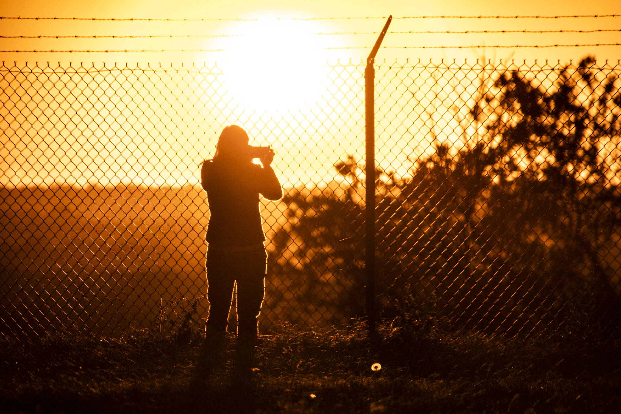 Viewing the sunset from Fort Reno in northwest Washington on Tuesday. (Diane Krauthamer/Flickr)