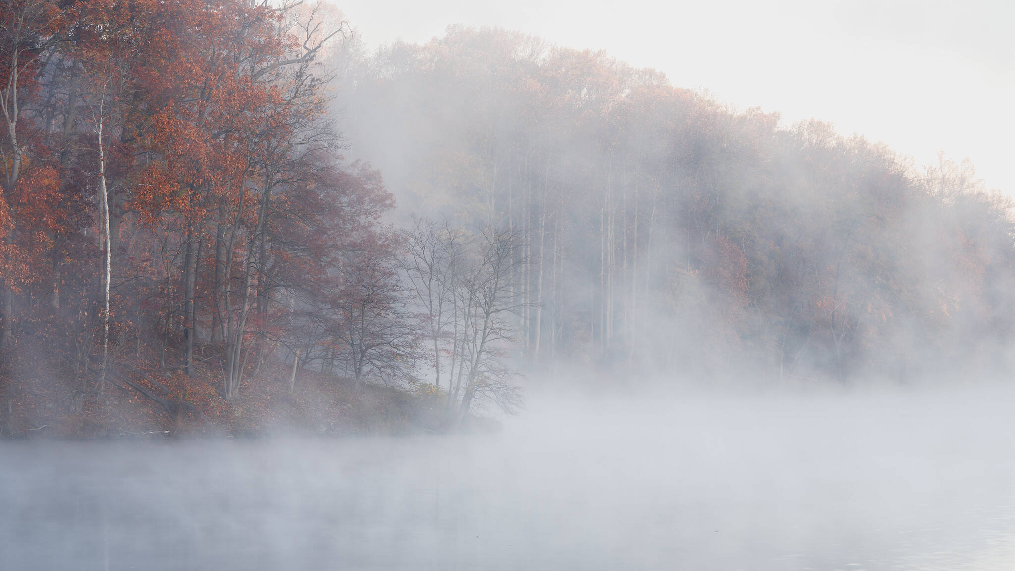 A misty Lake Needwood on Sunday morning. (John Brighenti/Flickr)