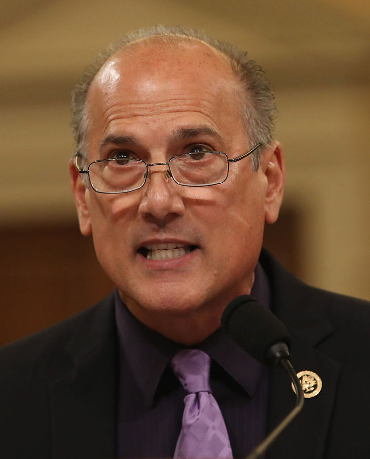 Rep. Tom Marino (R-Pa.)&nbsp;speaks during a House hearing. (Mark Wilson/Getty Images)</p>  