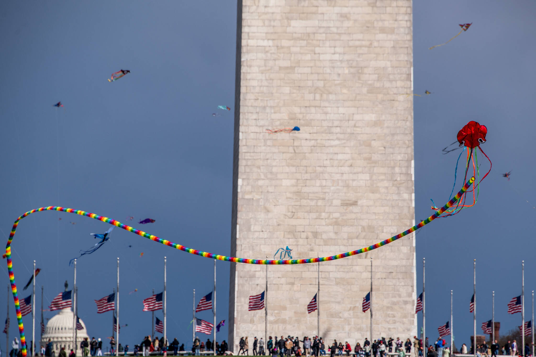 A brisk breeze for yesterday's Blossom Kite Festival at the Washington Monument. (angela n.)
